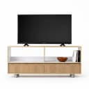 Forest Tv Unit
